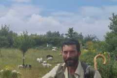IMG-20260217-WA0014