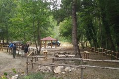 IMG-20260218-WA0000