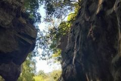 IMG-20260218-WA0007