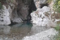 IMG-20260218-WA0010