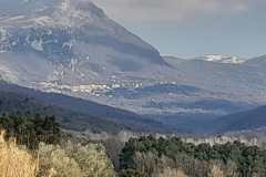 IMG-20260218-WA0012